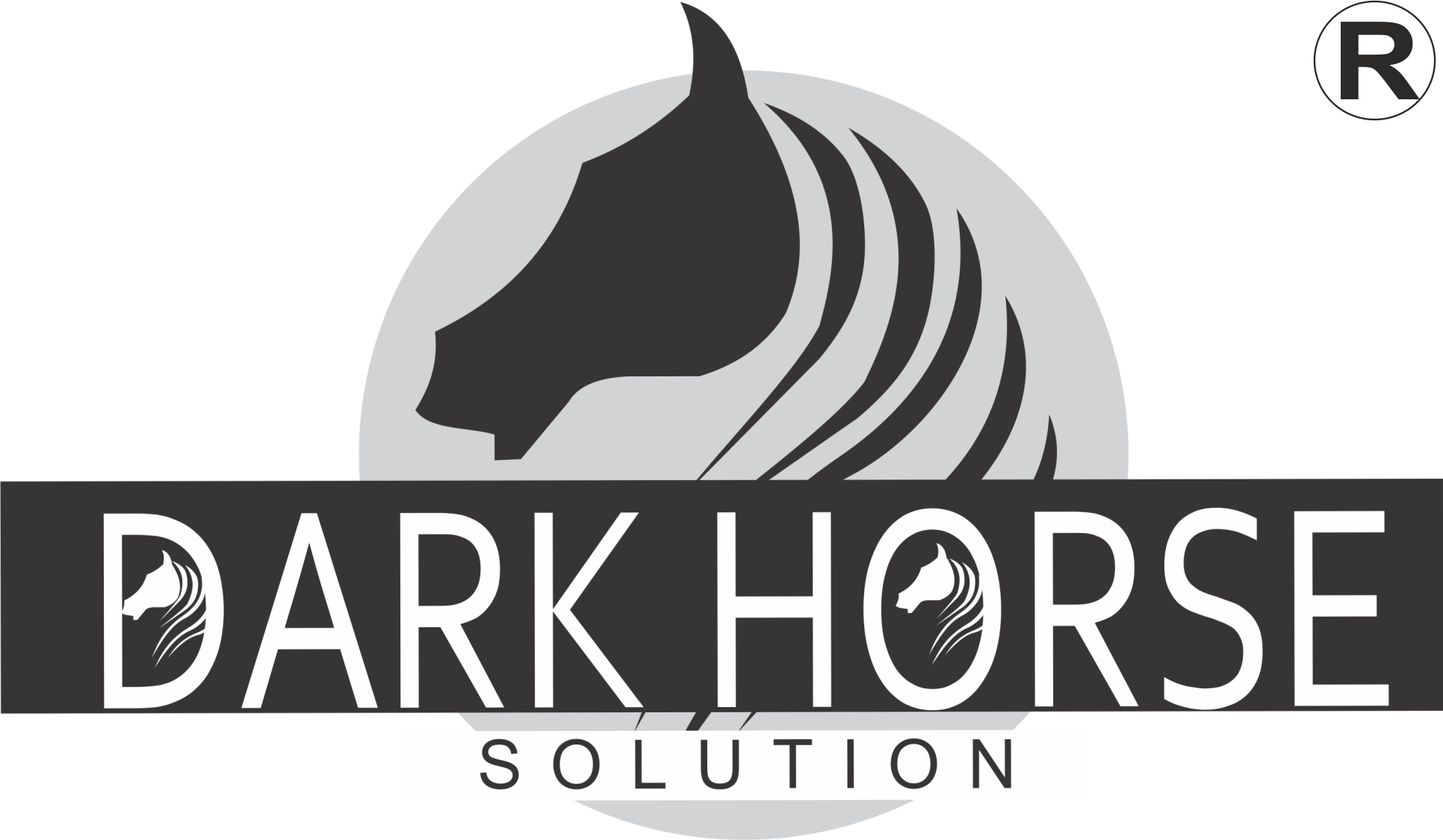 DarkHorse Solution logo